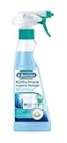 Dr. Beckmann Kühlschrank Hygiene-Reiniger | reinigt hygienisch und neutralisiert Gerüche | mit Bio-Alkohol | 1x 250 ml