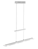 Fischer & Honsel Pendelleuchte Tenso TW 4x LED 5,0 Watt, nickelfarben, 3 Stufen CCT, höhenverstellbar, stufenlos dimmbar, 211224, 88 x 9 x 150 cm (LxBxH) , 1600 lm, 2700 K / 3350 K / 4000 K